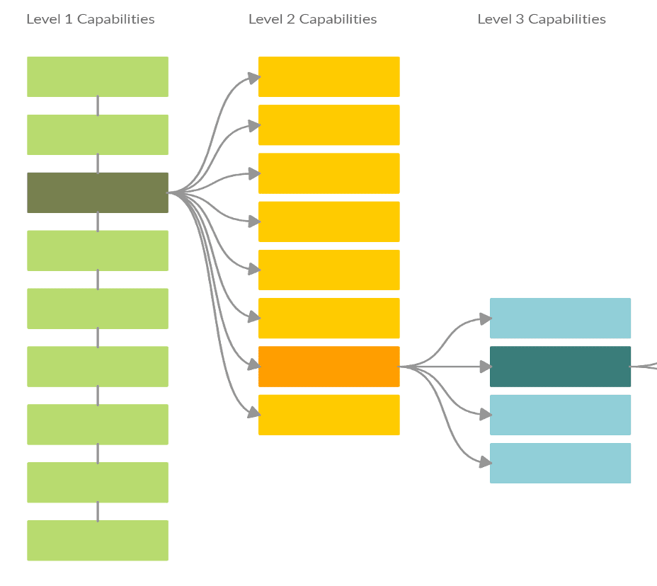 The "Why" and "What For" of Business Capability Maps